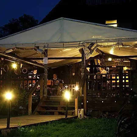 Pod Czarnym Labedziem 4*