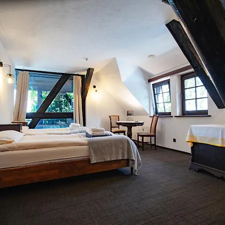 Pod Czarnym Labedziem Bed & Breakfast Rydzewo