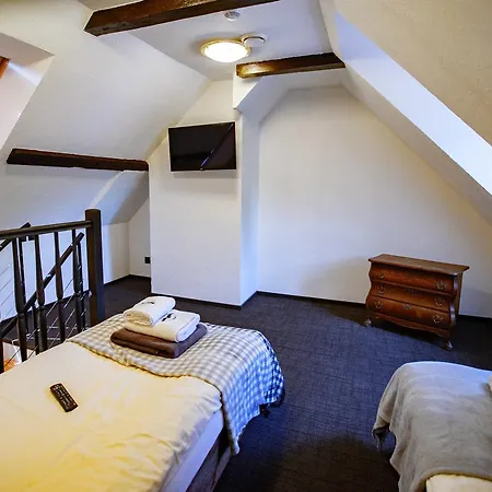 Pod Czarnym Labedziem Bed & Breakfast 4*